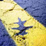 leaf imprint on yellow road line