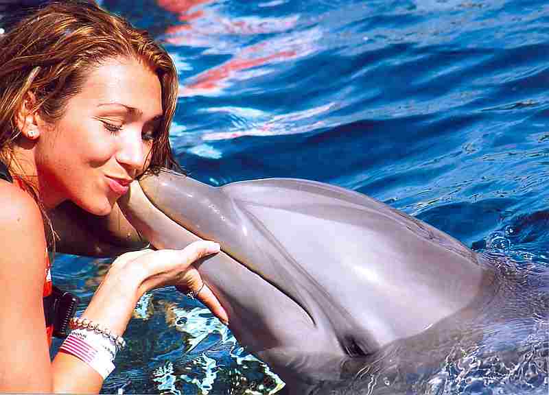 dolphin kissing girl