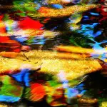 colorful leaves under water