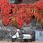 moped by stone wall red leaves