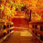 fall walkway