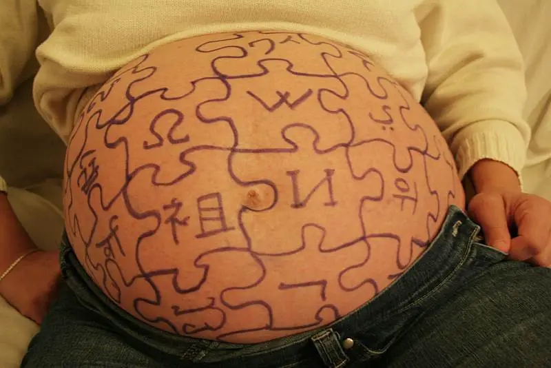 wikipedia logo on pregnant belly